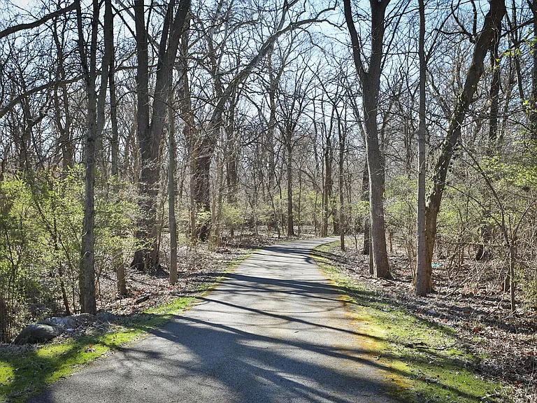 1803 Canopy Ln — Photo 40