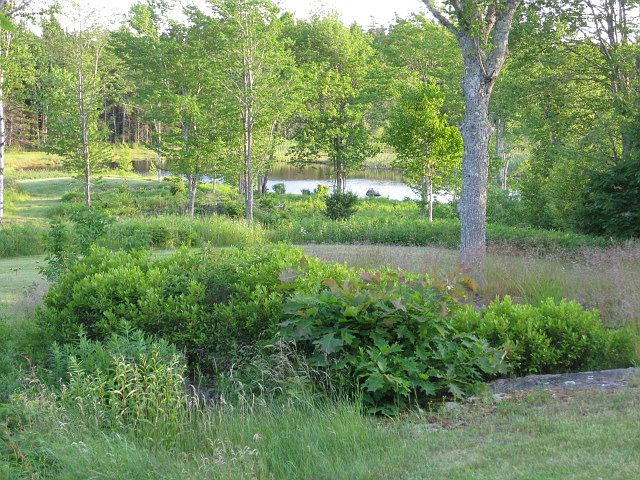 Pond View