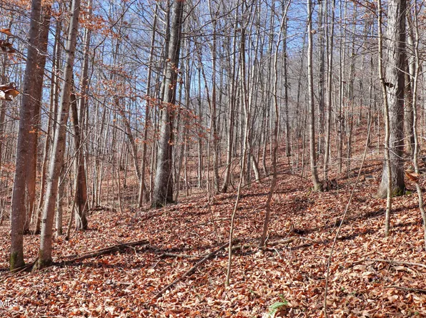 524 Whistle Valley Rd, New Tazewell, TN 37825