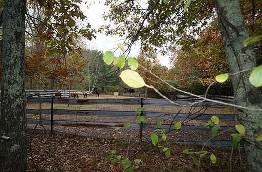 2nd image of 65 White Pond Rd