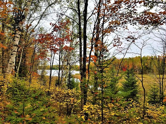 3rd image of Beaver Lodge Cir