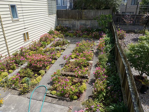Owner Takes Care of Garden