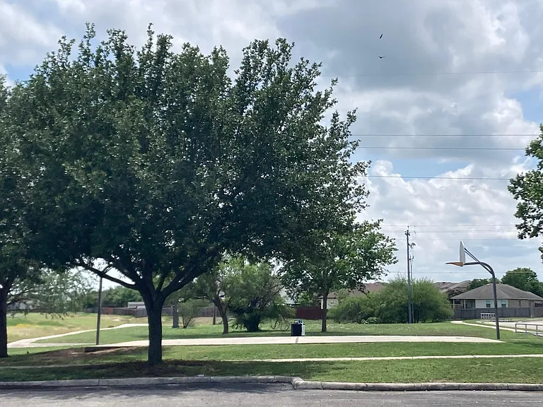 2444 Medina Dr — Photo 10