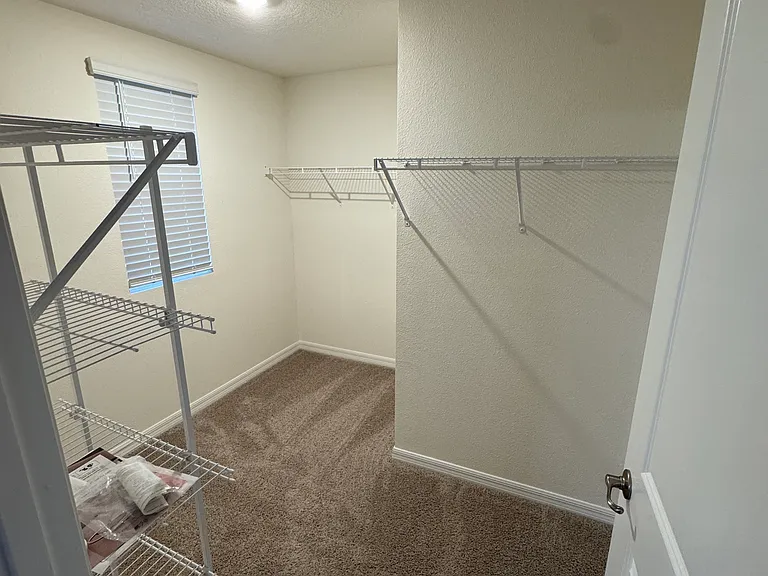 Walk-in Master Closet