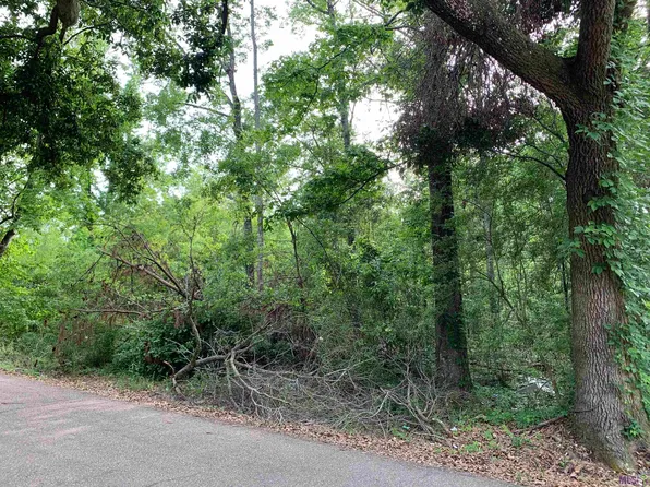 43521 E Klein Rd, Hammond, LA 70403