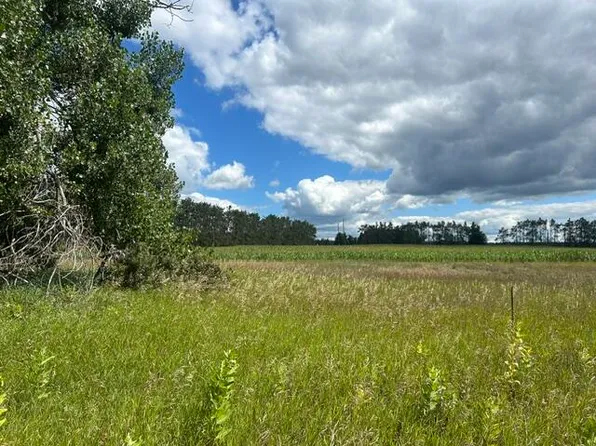 PARCEL 1 McCoy Rd, Gaylord, MI 49735