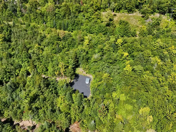 38 Black Bear Lane, Greenville, ME 04441