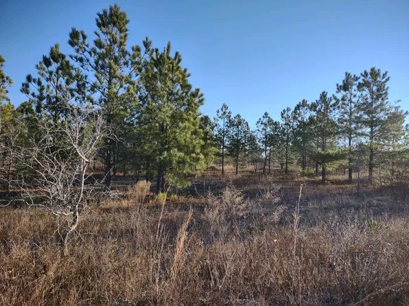 0 Jordan Rd, Buena Vista, GA 31803