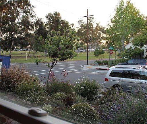 View from front window