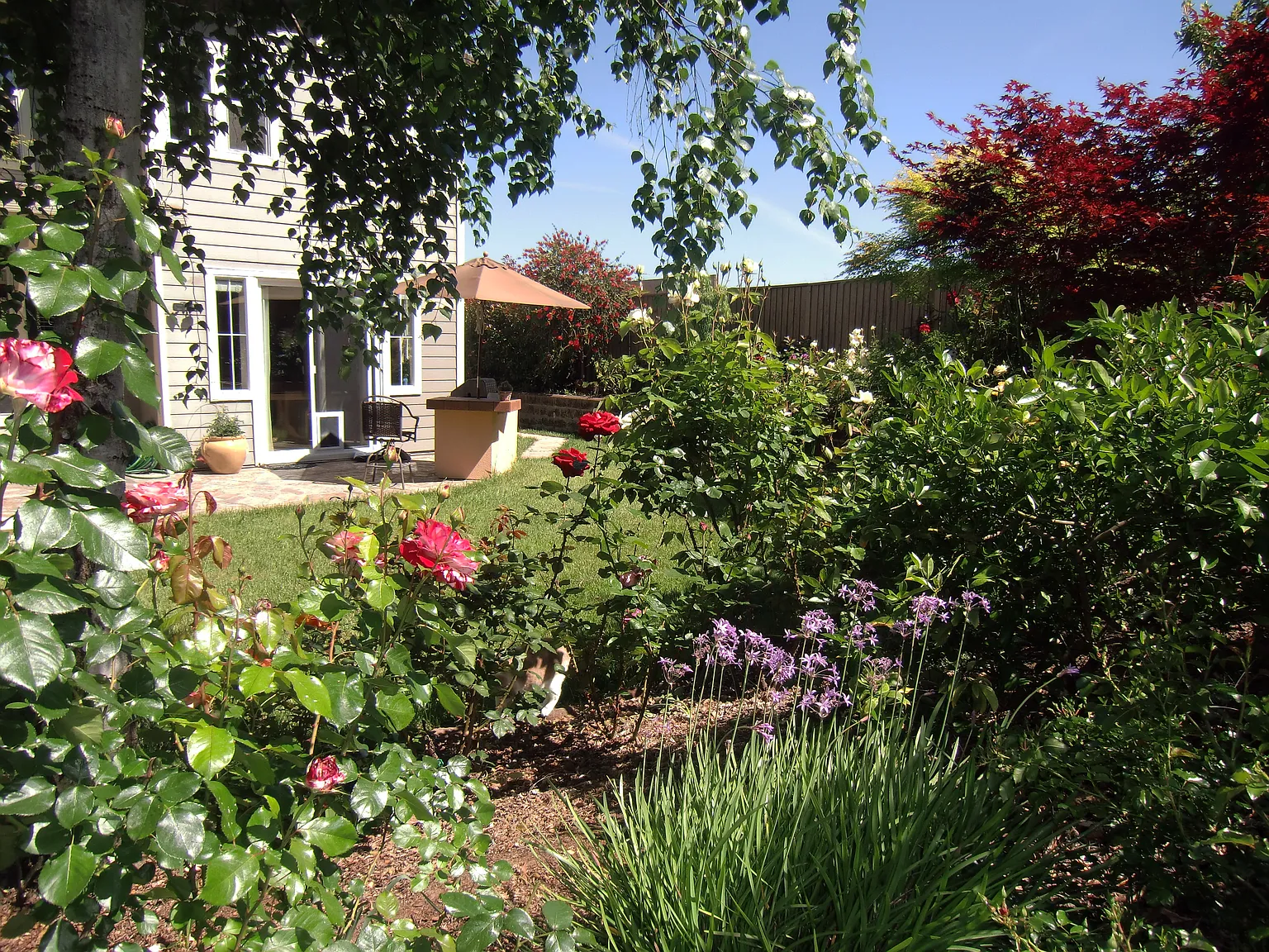 11 Presidio Dr photo 1