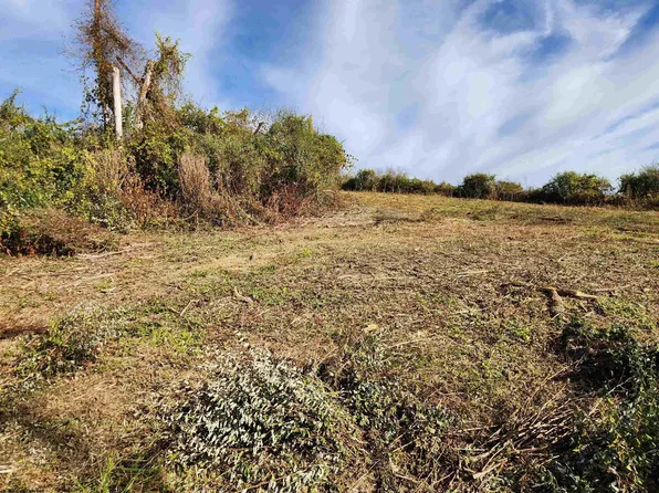 Hidden Valley Rd, Lost Creek, WV 26385