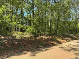 Paradise Ln, Flint, TX