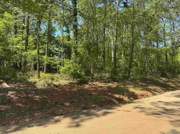 Paradise Ln, Flint, TX 75762