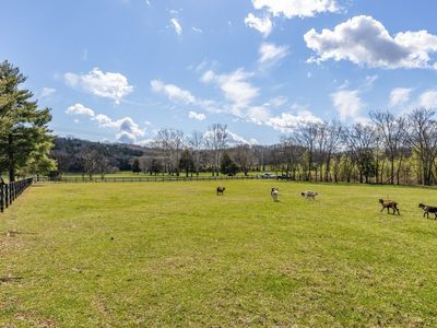 6661 Arno Allisona Rd, College Grove, TN, 37046