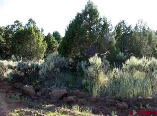 LOT 10 Juniper Dr, Norwood, CO 81423