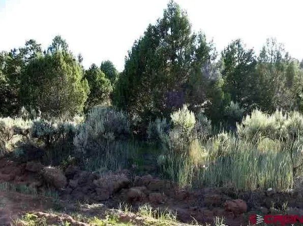 Lot 10 Juniper Drive, Norwood, CO 81423