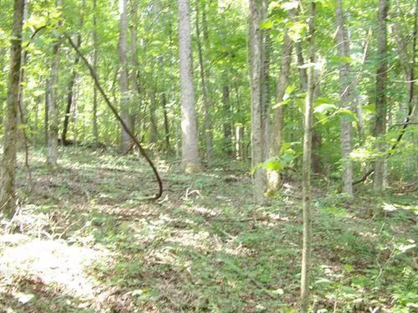 0 Stone Ridge Rd #62, Pikeville, TN 37367