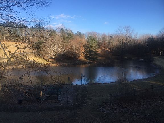 Picturesque Pond # 1