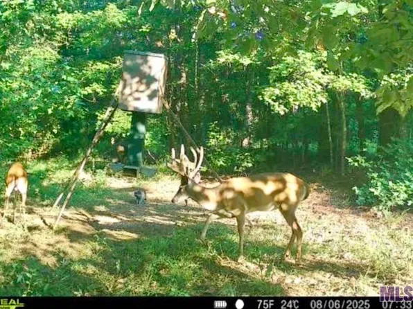 655 Oil Wl, Lorman, MS 39096