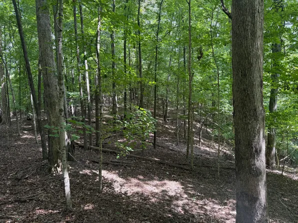 0 Perry Springs Rd, Eddyville, KY 42038