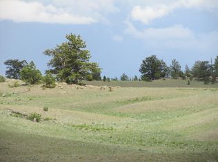 4472 Anadarko Rd, Hartsel, CO 80449