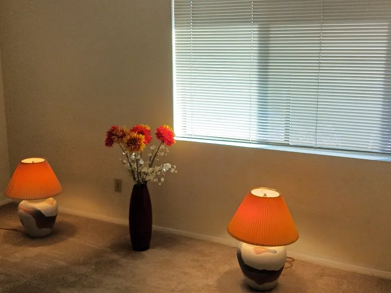 14022 N Cameo Dr — Photo 12