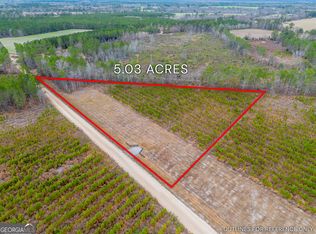 12 Bennett Grooms Rd, Brooklet, GA 30415