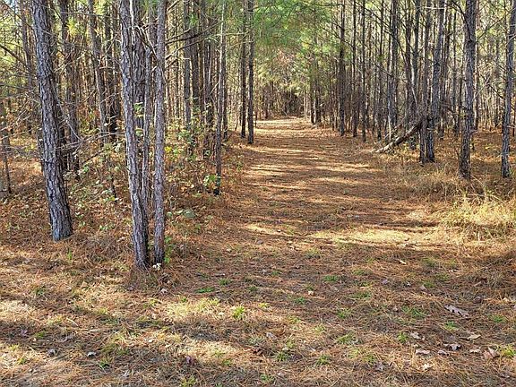 3rd image of 0 County Road 59