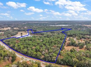 9969 SE Highway 464c #3, Ocklawaha, FL 32179