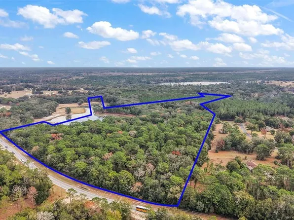 9969 SE Highway 464c #3, Ocklawaha, FL 32179