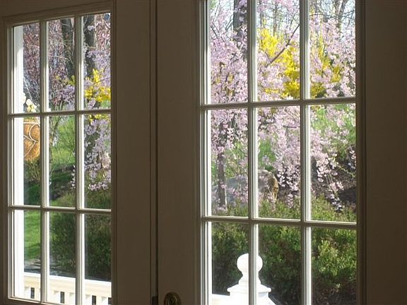 View from House