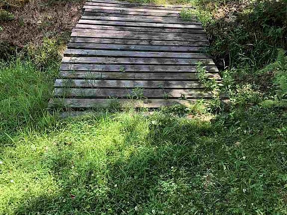 5th image of N1384 Miller Ave