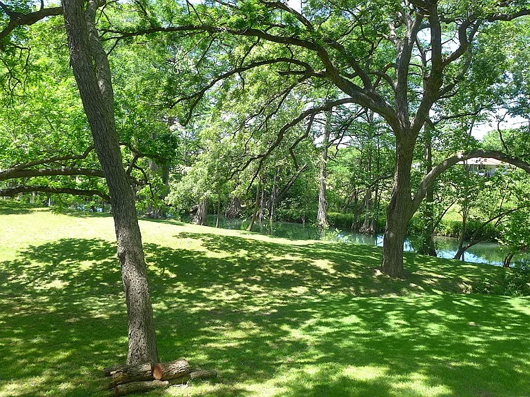 156 Verde Park Blvd — Photo 25