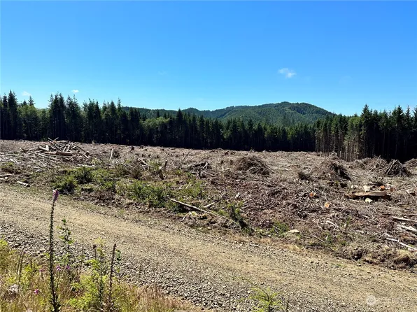 0 Government Road, Naselle, WA 98638