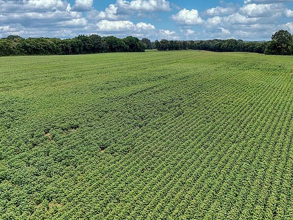 4th image of 4999 Ben Smith Rd