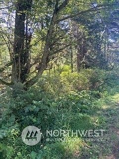 2nd image of 0 NHN Guemes Island Road