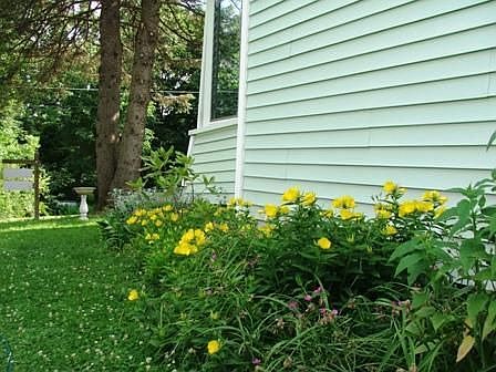 Perennial garden area--one of several