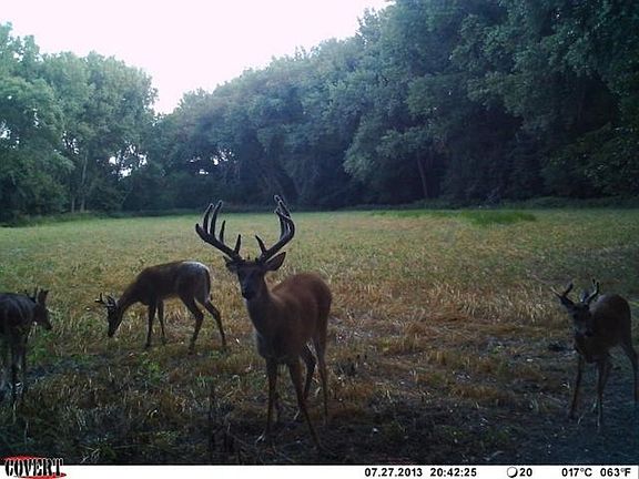 2nd image of 56700 Highway 136