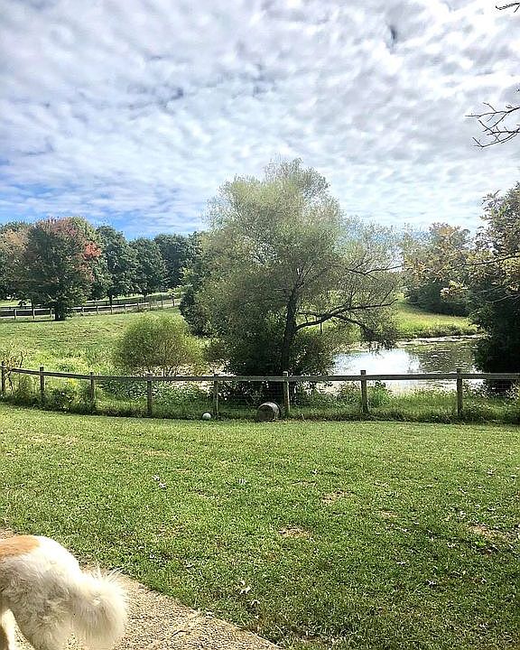 Pond from front house