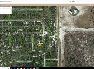 975 Ebbtide Ave, Lake Placid, FL 33852