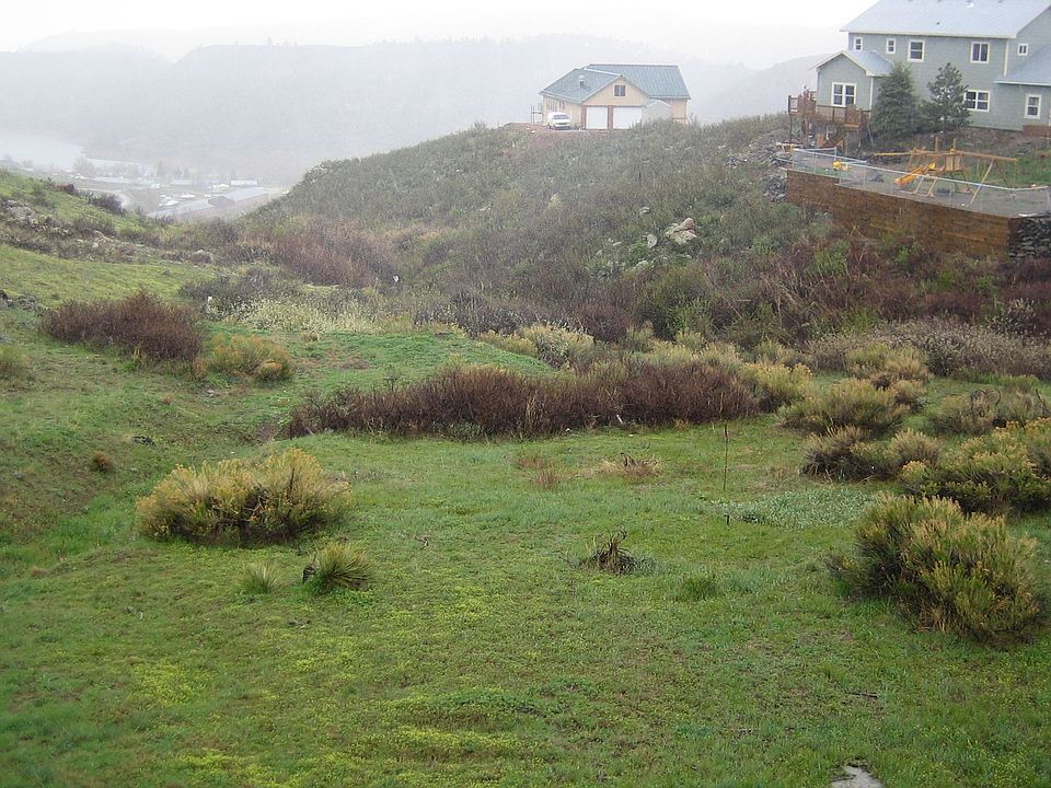 It can be very Green in the Spring!