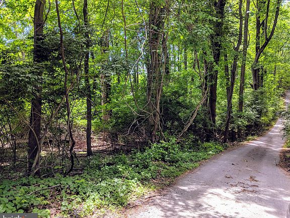 4th image of Birchcrest Ln