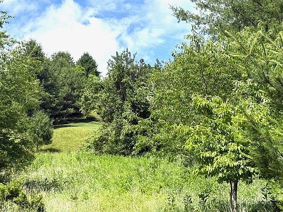 3rd image of TBD Park View Drive