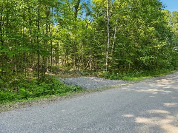 260 Loch Erne Rd, McDougall, ON P2A 2W7