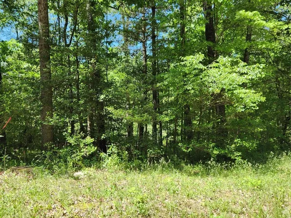 9 Tadpole Ln, Taylorsville, NC 28681