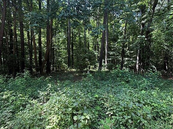2nd image of 0 Heron Ct Lot 6