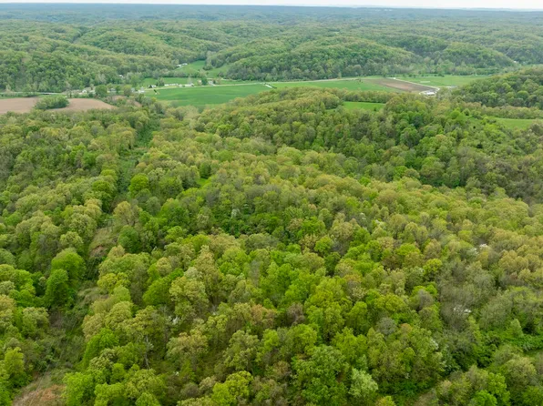 0 Bee Creek Rd, Pearl, IL 62361