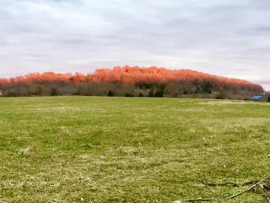 1182 East 515th Road, Morrisville, MO 65710 MLS 60256898 Zillow