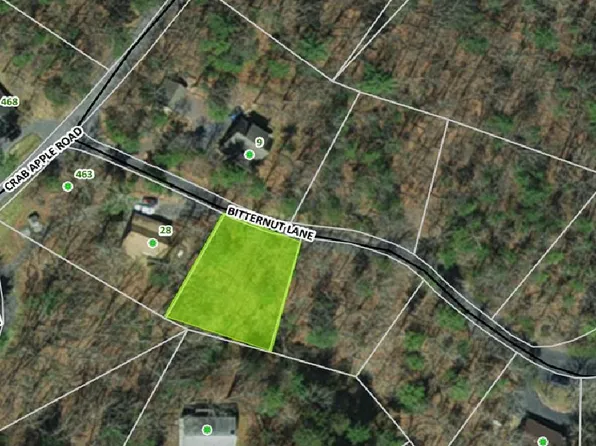 0 Bitternut Ln, Mount Jackson, VA 22842