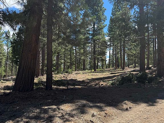 2nd image of 2245 Xanadu Rd